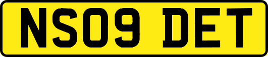 NS09DET