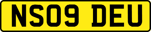 NS09DEU