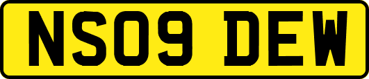 NS09DEW