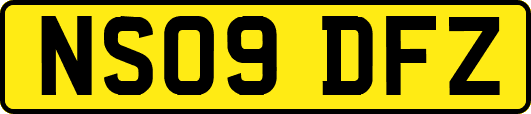 NS09DFZ
