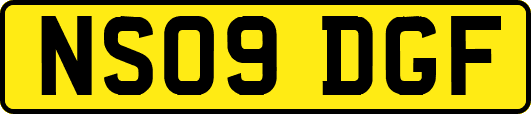 NS09DGF