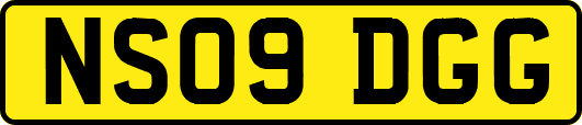 NS09DGG