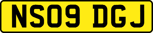 NS09DGJ