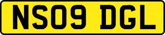 NS09DGL
