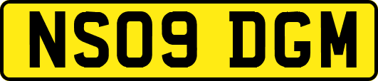 NS09DGM