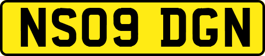 NS09DGN