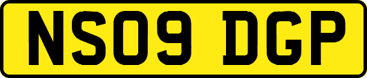 NS09DGP