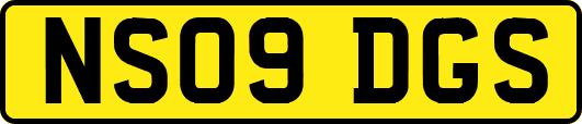 NS09DGS