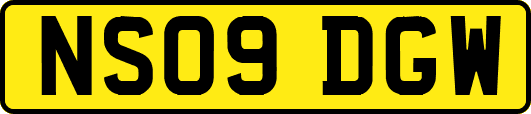 NS09DGW