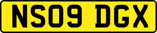NS09DGX