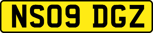 NS09DGZ