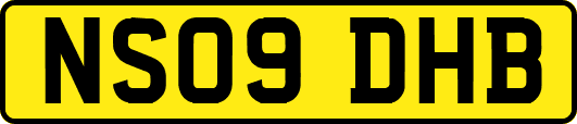 NS09DHB