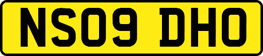 NS09DHO