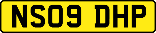 NS09DHP