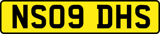 NS09DHS