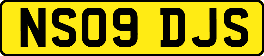 NS09DJS
