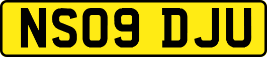 NS09DJU