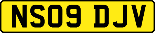NS09DJV