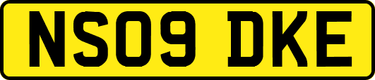 NS09DKE