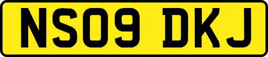 NS09DKJ