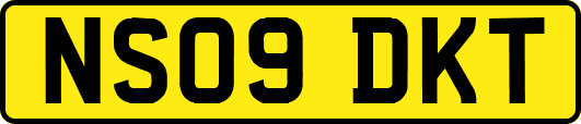 NS09DKT
