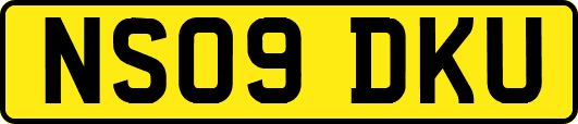 NS09DKU