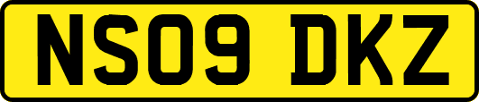 NS09DKZ