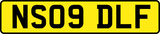 NS09DLF