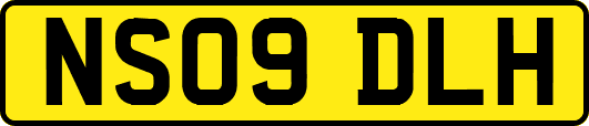 NS09DLH
