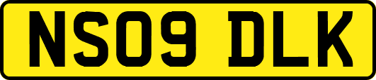 NS09DLK