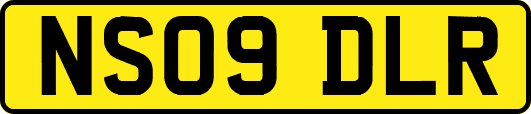 NS09DLR