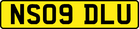 NS09DLU