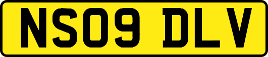 NS09DLV
