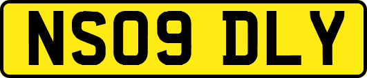 NS09DLY