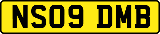 NS09DMB