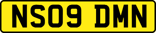 NS09DMN