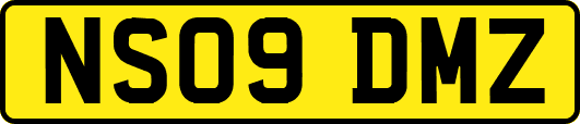 NS09DMZ