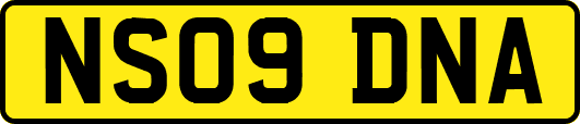 NS09DNA