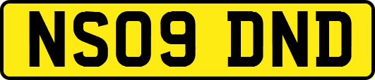 NS09DND