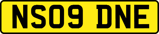 NS09DNE