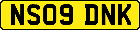 NS09DNK
