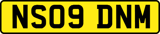NS09DNM