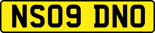 NS09DNO
