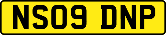NS09DNP