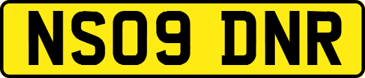 NS09DNR