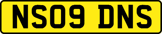 NS09DNS