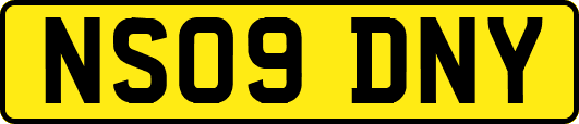 NS09DNY