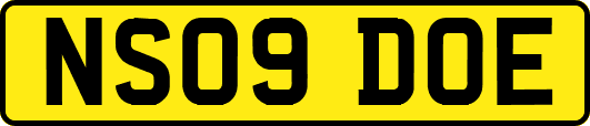 NS09DOE
