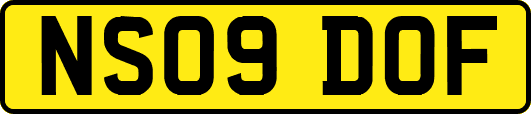 NS09DOF