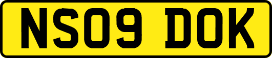 NS09DOK